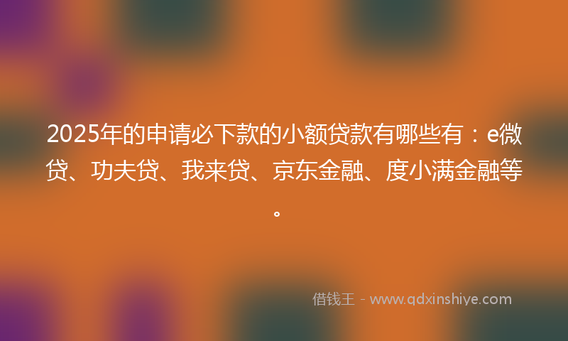 2025年的申请必下款的小额贷款有哪些有：e微贷、功夫贷、我来贷、京东金融、度小满金融等。