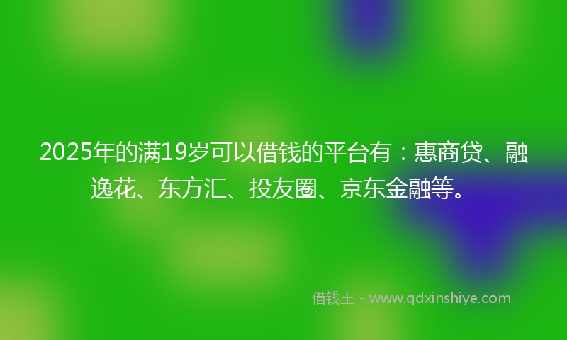 2025年的满19岁可以借钱的平台有：惠商贷、融逸花、东方汇、投友圈、京东金融等。