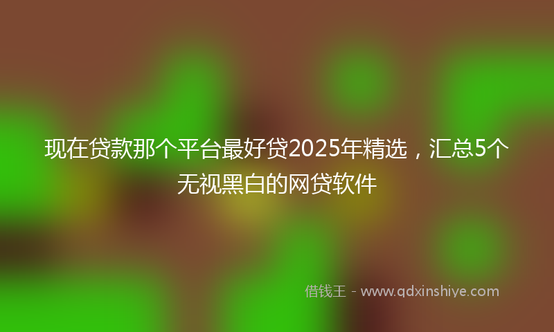 现在贷款那个平台最好贷2025年精选，汇总5个无视黑白的网贷软件