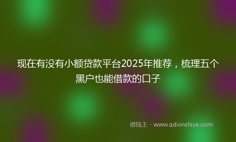 现在有没有小额贷款平台2025年推荐，梳理五个黑户也能借款的口子