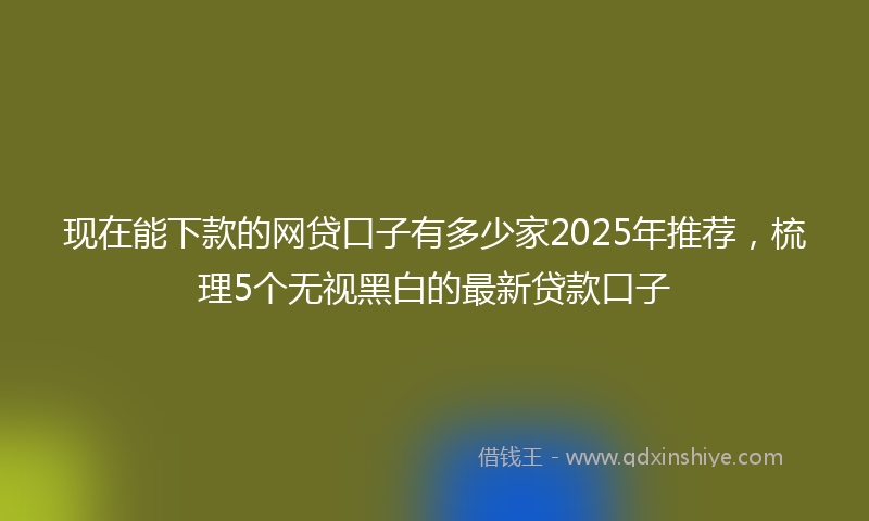 现在能下款的网贷口子有多少家2025年推荐，梳理5个无视黑白的最新贷款口子