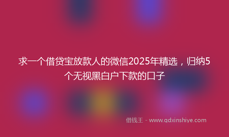 求一个借贷宝放款人的微信2025年精选，归纳5个无视黑白户下款的口子