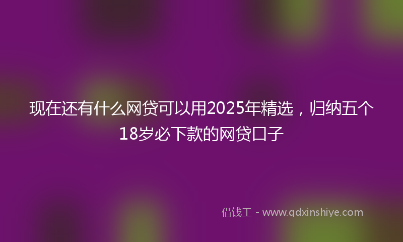 现在还有什么网贷可以用2025年精选，归纳五个18岁必下款的网贷口子
