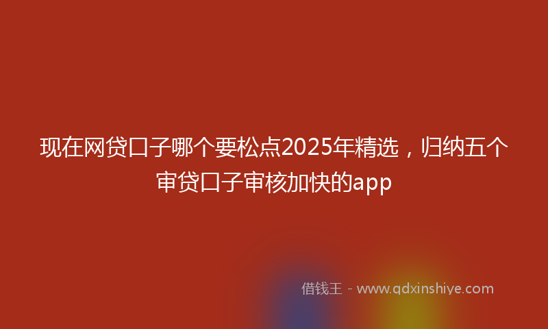 现在网贷口子哪个要松点2025年精选，归纳五个审贷口子审核加快的app