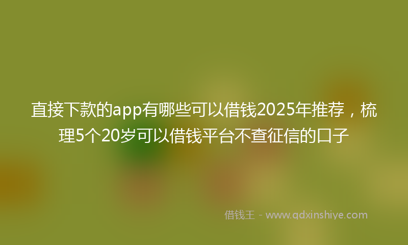 直接下款的app有哪些可以借钱2025年推荐，梳理5个20岁可以借钱平台不查征信的口子