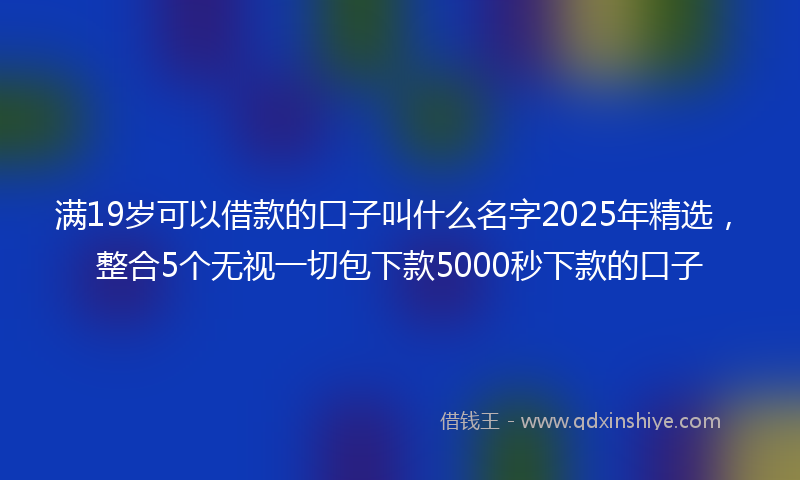 满19岁可以借款的口子叫什么名字2025年精选，整合5个无视一切包下款5000秒下款的口子
