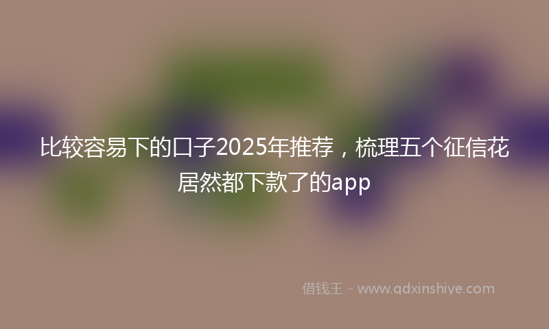 比较容易下的口子2025年推荐，梳理五个征信花居然都下款了的app