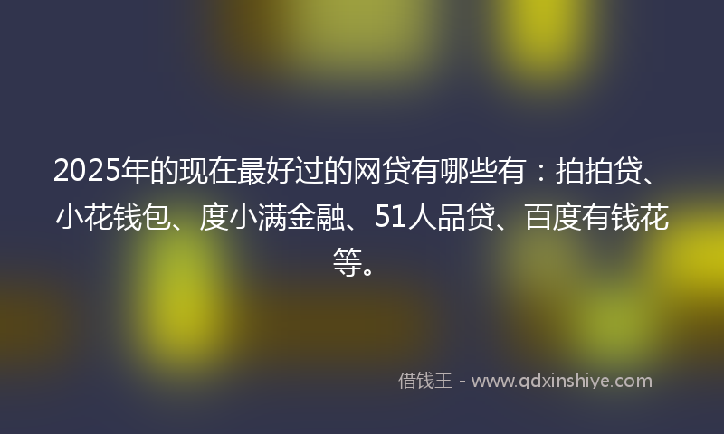 2025年的现在最好过的网贷有哪些有：拍拍贷、小花钱包、度小满金融、51人品贷、百度有钱花等。