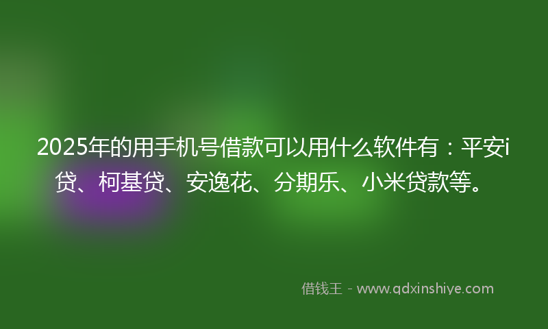 2025年的用手机号借款可以用什么软件有：平安i贷、柯基贷、安逸花、分期乐、小米贷款等。