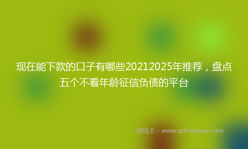 现在能下款的口子有哪些20212025年推荐,盘点五个不看年龄征信负债的平台