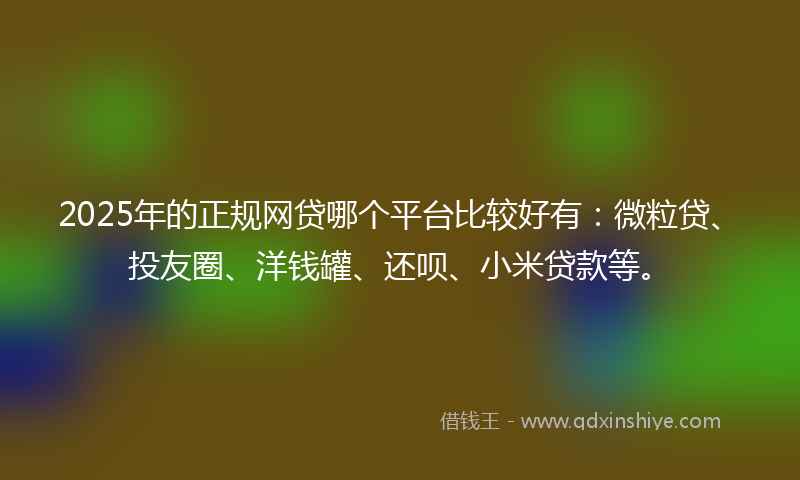 2025年的正规网贷哪个平台比较好有：微粒贷、投友圈、洋钱罐、还呗、小米贷款等。