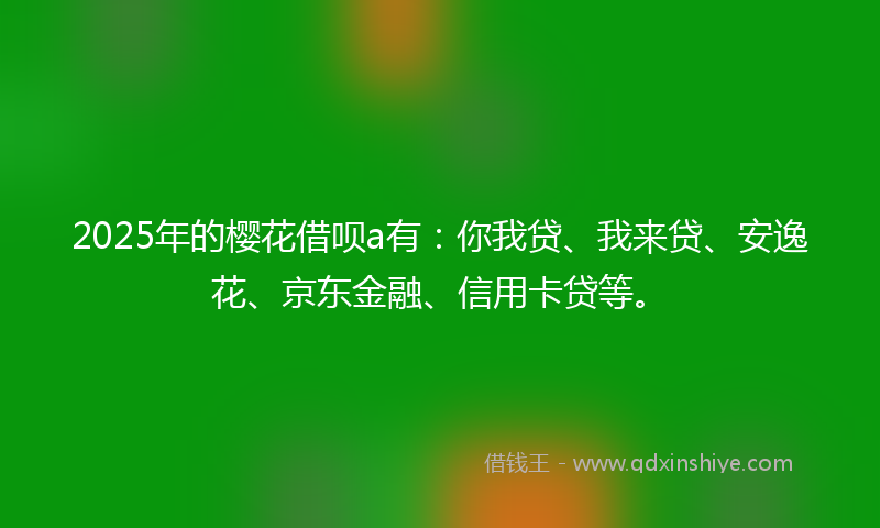 2025年的樱花借呗a有：你我贷、我来贷、安逸花、京东金融、信用卡贷等。