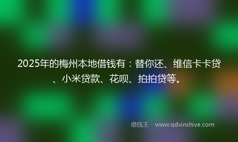 2025年的梅州本地借钱有：替你还、维信卡卡贷、小米贷款、花呗、拍拍贷等。