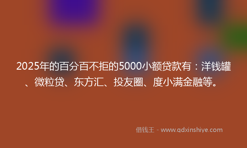 2025年的百分百不拒的5000小额贷款有：洋钱罐、微粒贷、东方汇、投友圈、度小满金融等。