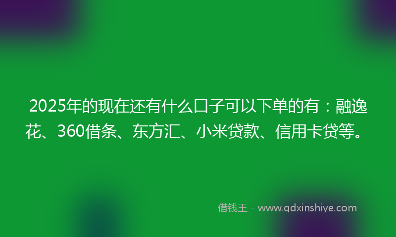 2025年的现在还有什么口子可以下单的有：融逸花、360借条、东方汇、小米贷款、信用卡贷等。