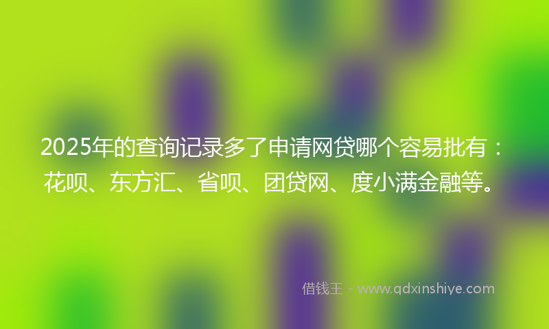 2025年的查询记录多了申请网贷哪个容易批有:花呗、东方汇、省呗、团贷网、度小满金融等。