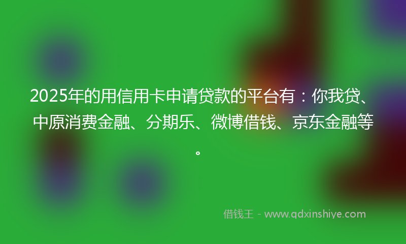 2025年的用信用卡申请贷款的平台有:你我贷、中原消费金融、分期乐、微博借钱、京东金融等。