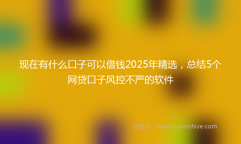 现在有什么口子可以借钱2025年精选,总结5个网贷口子风控不严的软件