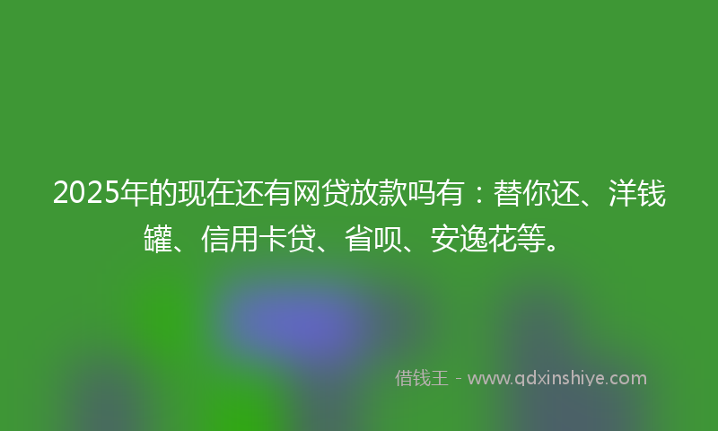 2025年的现在还有网贷放款吗有：替你还、洋钱罐、信用卡贷、省呗、安逸花等。