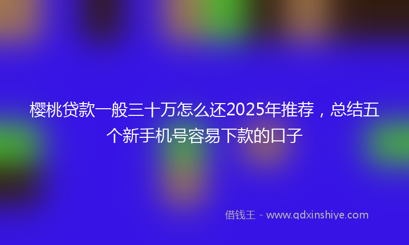 樱桃贷款一般三十万怎么还2025年推荐，总结五个新手机号容易下款的口子