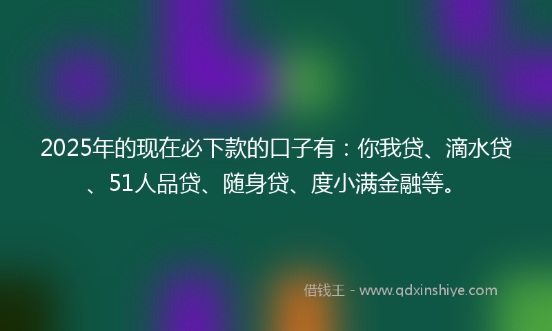 2025年的现在必下款的口子有：你我贷、滴水贷、51人品贷、随身贷、度小满金融等。