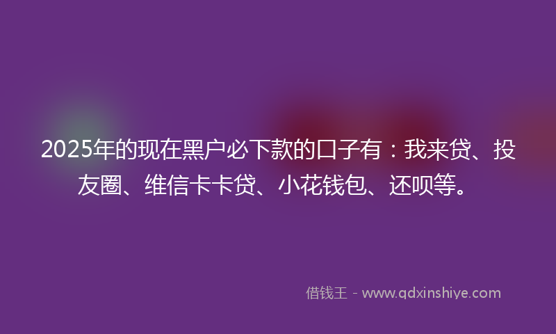 2025年的现在黑户必下款的口子有：我来贷、投友圈、维信卡卡贷、小花钱包、还呗等。
