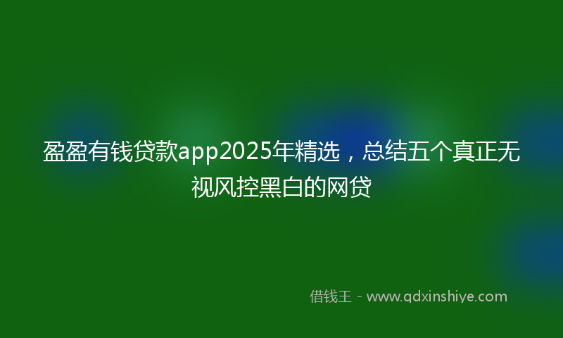 盈盈有钱贷款app2025年精选，总结五个真正无视风控黑白的网贷