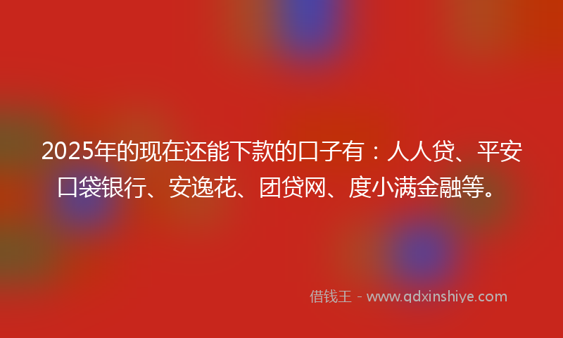 2025年的现在还能下款的口子有：人人贷、平安口袋银行、安逸花、团贷网、度小满金融等。