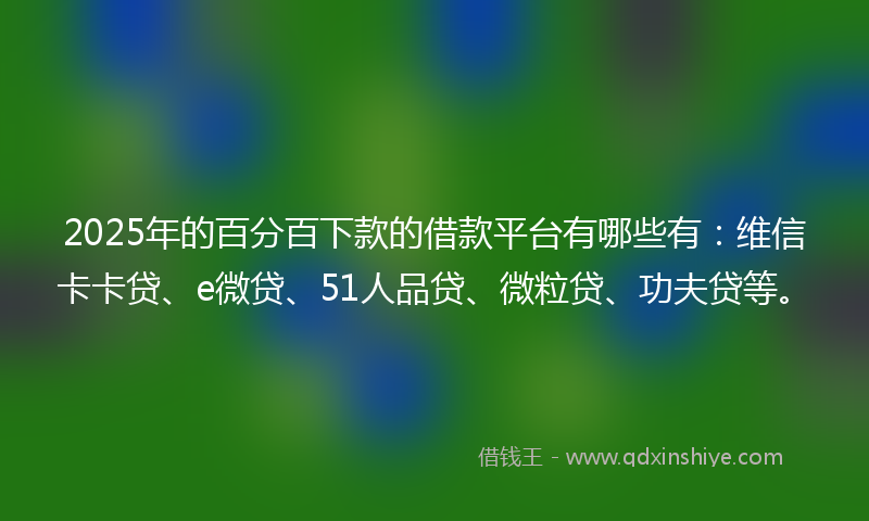 2025年的百分百下款的借款平台有哪些有：维信卡卡贷、e微贷、51人品贷、微粒贷、功夫贷等。