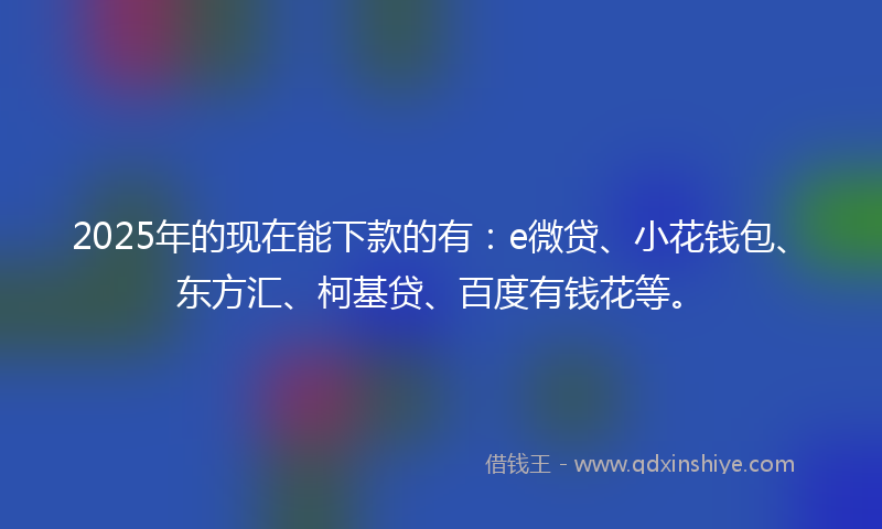 2025年的现在能下款的有：e微贷、小花钱包、东方汇、柯基贷、百度有钱花等。
