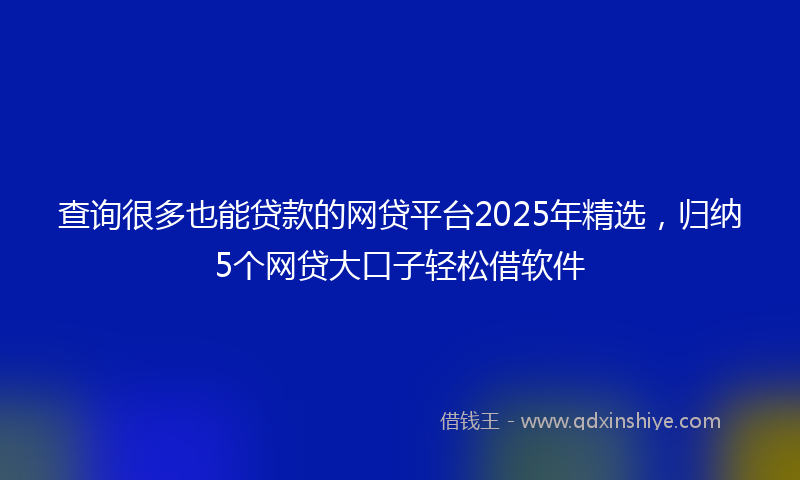 查询很多也能贷款的网贷平台2025年精选，归纳5个网贷大口子轻松借软件