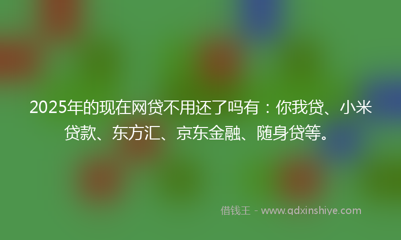 2025年的现在网贷不用还了吗有：你我贷、小米贷款、东方汇、京东金融、随身贷等。