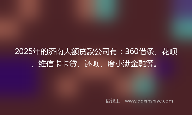 2025年的济南大额贷款公司有：360借条、花呗、维信卡卡贷、还呗、度小满金融等。