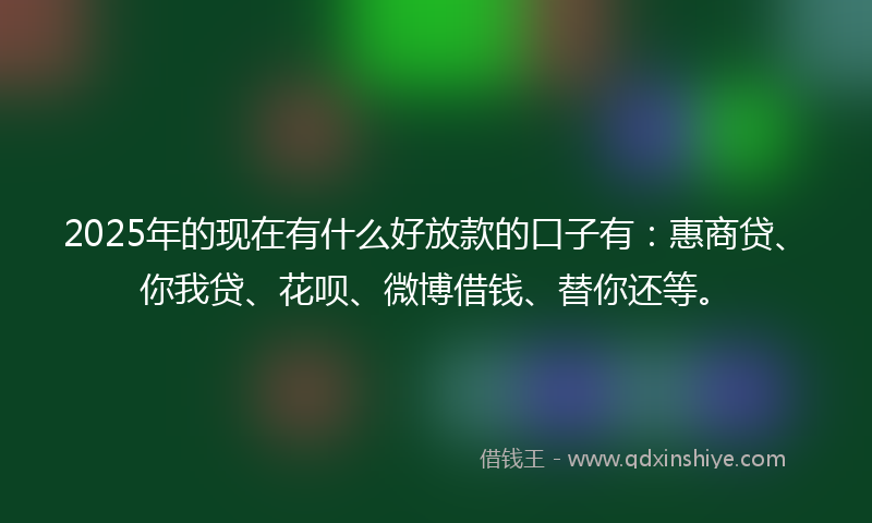 2025年的现在有什么好放款的口子有：惠商贷、你我贷、花呗、微博借钱、替你还等。