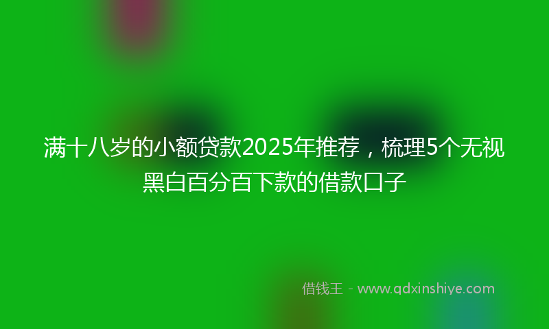 满十八岁的小额贷款2025年推荐，梳理5个无视黑白百分百下款的借款口子