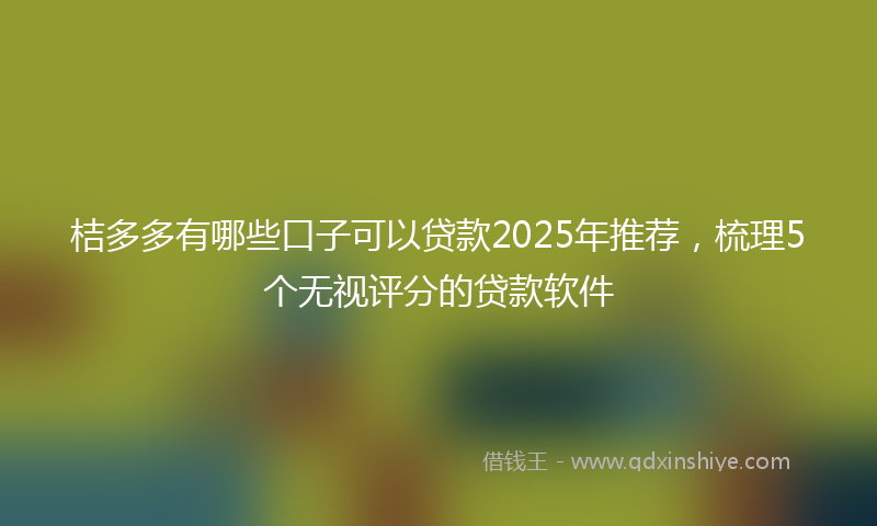 桔多多有哪些口子可以贷款2025年推荐，梳理5个无视评分的贷款软件