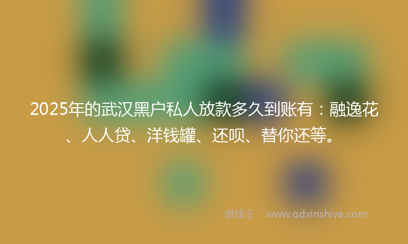 2025年的武汉黑户私人放款多久到账有：融逸花、人人贷、洋钱罐、还呗、替你还等。