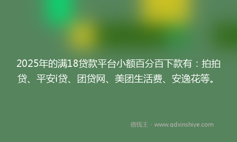 2025年的满18贷款平台小额百分百下款有：拍拍贷、平安i贷、团贷网、美团生活费、安逸花等。