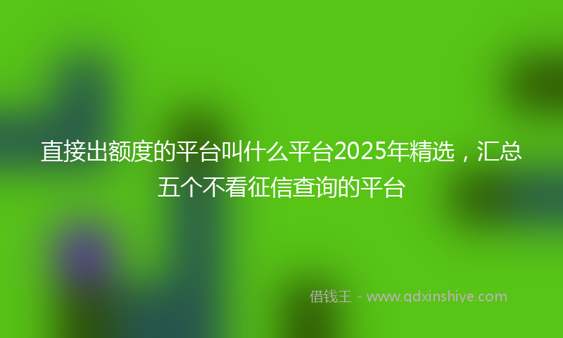 直接出额度的平台叫什么平台2025年精选，汇总五个不看征信查询的平台