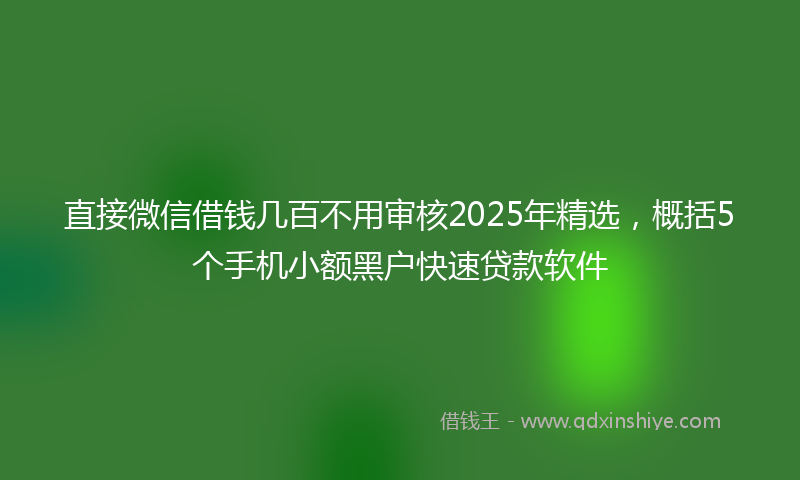 直接微信借钱几百不用审核2025年精选，概括5个手机小额黑户快速贷款软件