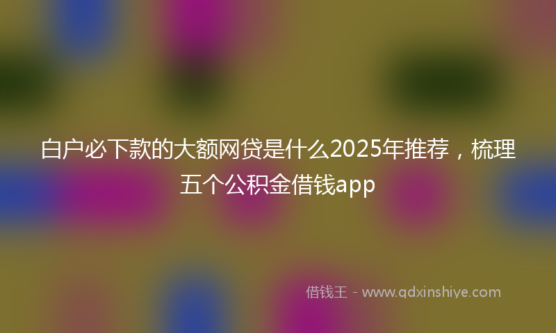 白户必下款的大额网贷是什么2025年推荐，梳理五个公积金借钱app
