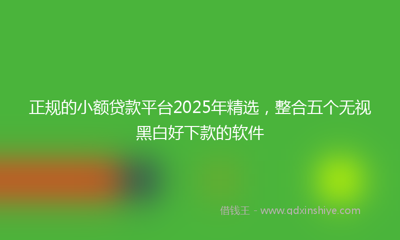 正规的小额贷款平台2025年精选，整合五个无视黑白好下款的软件
