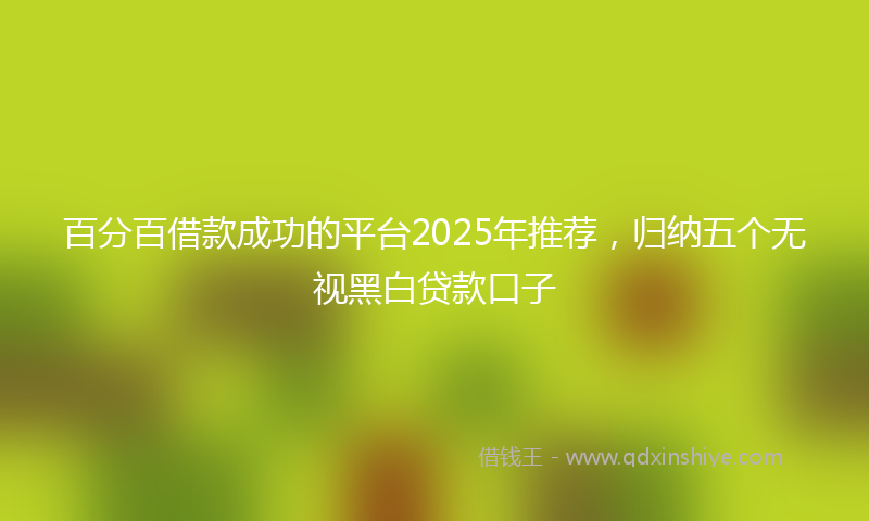 百分百借款成功的平台2025年推荐，归纳五个无视黑白贷款口子