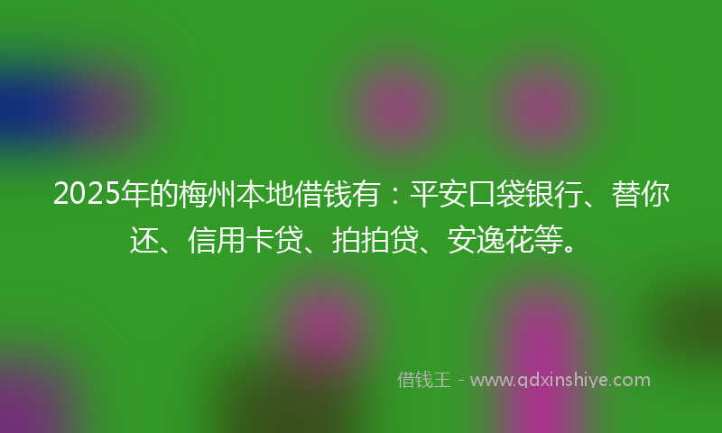 2025年的梅州本地借钱有：平安口袋银行、替你还、信用卡贷、拍拍贷、安逸花等。