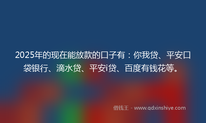 2025年的现在能放款的口子有：你我贷、平安口袋银行、滴水贷、平安i贷、百度有钱花等。
