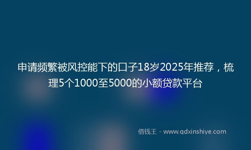申请频繁被风控能下的口子18岁2025年推荐，梳理5个1000至5000的小额贷款平台