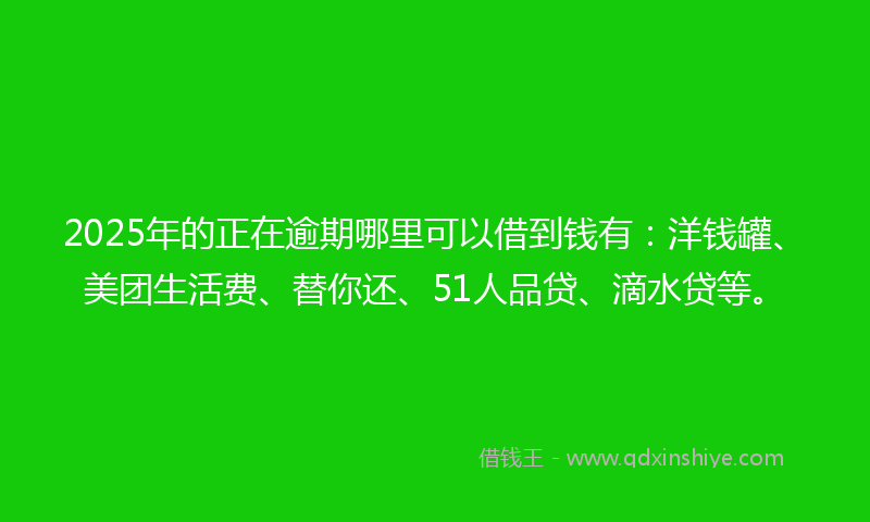 2025年的正在逾期哪里可以借到钱有：洋钱罐、美团生活费、替你还、51人品贷、滴水贷等。