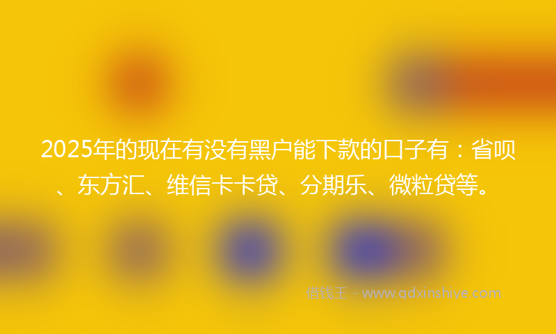 2025年的现在有没有黑户能下款的口子有:省呗、东方汇、维信卡卡贷、分期乐、微粒贷等。