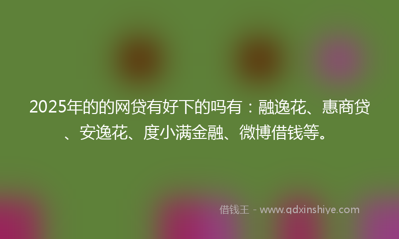 2025年的的网贷有好下的吗有：融逸花、惠商贷、安逸花、度小满金融、微博借钱等。