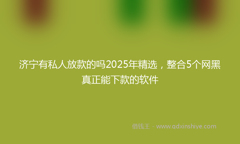 济宁有私人放款的吗2025年精选，整合5个网黑真正能下款的软件